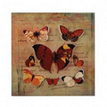 Autumn Butterfly Wall Art